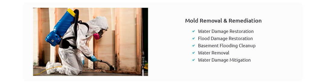 Water Damage And Mold Remediation Jan